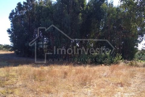 Helårsgrund i Castelo Branco, Castelo Branco, Castelo Branco - € 15.000 | Ref: SÒL_454 - foto 2