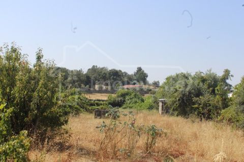 Terra a Alcains, Castelo Branco, Alcains - € 36.000 | Ref: 1141 - foto 2