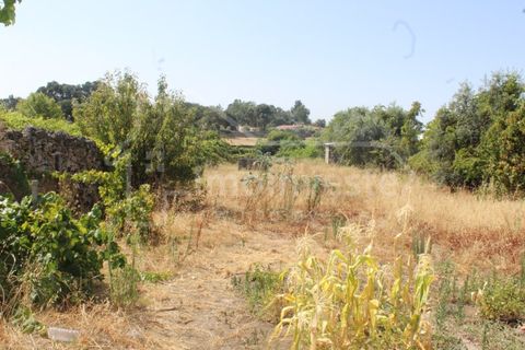 Terra a Alcains, Castelo Branco, Alcains - € 36.000 | Ref: 1141 - foto 4