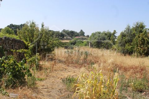 Terra a Alcains, Castelo Branco, Alcains - € 36.000 | Ref: 1141 - foto 5