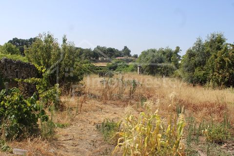 Terra a Alcains, Castelo Branco, Alcains - € 36.000 | Ref: 1141 - foto 6