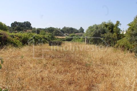 Terra a Alcains, Castelo Branco, Alcains - € 36.000 | Ref: 1141 - foto 7