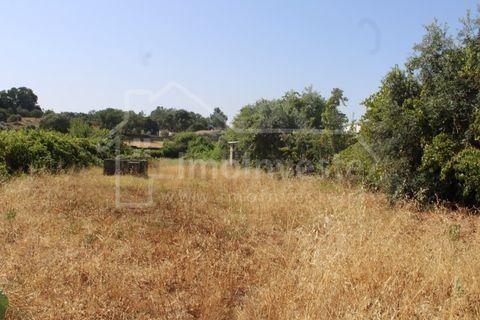 Terra a Alcains, Castelo Branco, Alcains - € 36.000 | Ref: 1141 - foto 8