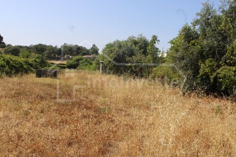 Terra a Alcains, Castelo Branco, Alcains - € 36.000 | Ref: 1141 - foto 9