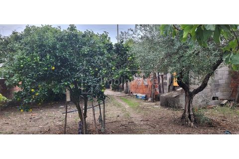 Helårsgrund i Alcains, Castelo Branco, Alcains - € 69.000 | Ref: 821 - foto 4