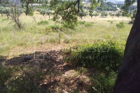 Helårsgrund i Castelo Branco, Castelo Branco, Castelo Branco - € 120.000 | Ref: SÒL_416 - foto 3