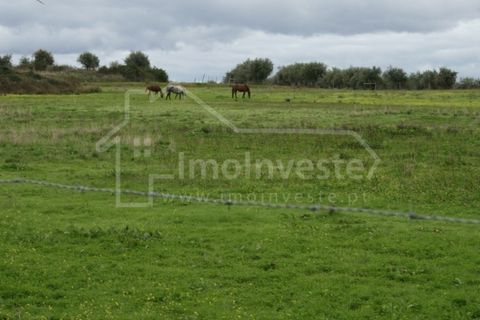 Farm i Ladoeiro, Castelo Branco, Ladoeiro - € 1.260.000 | Ref: FIN_136 - foto 2
