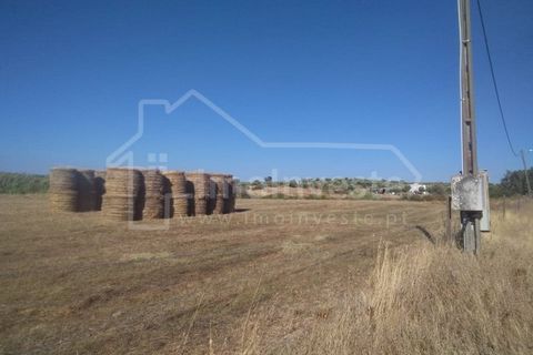 Farm i Ladoeiro, Castelo Branco, Ladoeiro - € 1.260.000 | Ref: FIN_136 - foto 5