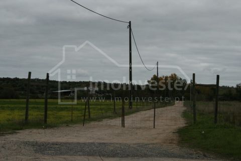 Farm i Ladoeiro, Castelo Branco, Ladoeiro - € 1.260.000 | Ref: FIN_136 - foto 6