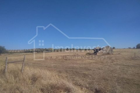 Farm i Ladoeiro, Castelo Branco, Ladoeiro - € 1.260.000 | Ref: FIN_136 - foto 7