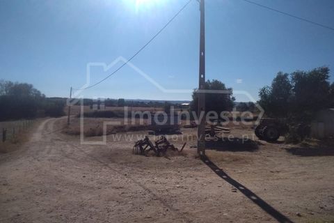 Farm i Ladoeiro, Castelo Branco, Ladoeiro - € 1.260.000 | Ref: FIN_136 - foto 8