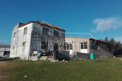 Farm i Ladoeiro, Castelo Branco, Ladoeiro - € 1.260.000 | Ref: FIN_136 - foto 9
