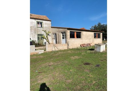 Farm i Ladoeiro, Castelo Branco, Ladoeiro - € 1.260.000 | Ref: FIN_136 - foto 10