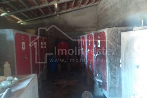 Farm i Ladoeiro, Castelo Branco, Ladoeiro - € 1.260.000 | Ref: FIN_136 - foto 11