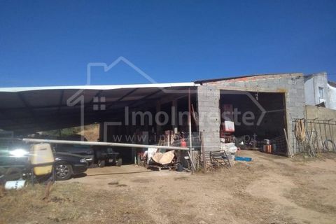Farm i Ladoeiro, Castelo Branco, Ladoeiro - € 1.260.000 | Ref: FIN_136 - foto 12
