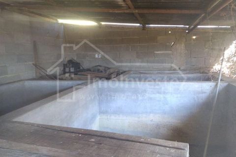 Farm i Ladoeiro, Castelo Branco, Ladoeiro - € 1.260.000 | Ref: FIN_136 - foto 13