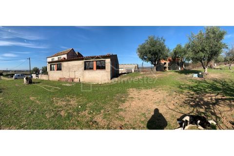 Farm i Ladoeiro, Castelo Branco, Ladoeiro - € 1.260.000 | Ref: FIN_136 - foto 14