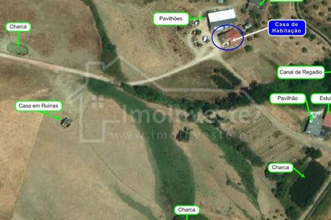 Farm i Ladoeiro, Castelo Branco, Ladoeiro - € 1.260.000 | Ref: FIN_136 - foto 15