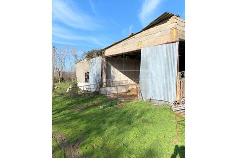 Farm i Ladoeiro, Castelo Branco, Ladoeiro - € 1.260.000 | Ref: FIN_136 - foto 16