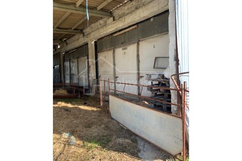 Farm i Ladoeiro, Castelo Branco, Ladoeiro - € 1.260.000 | Ref: FIN_136 - foto 17