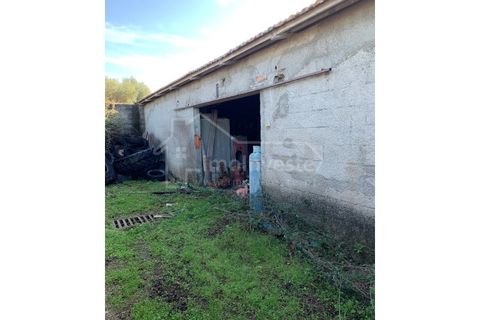 Farm i Ladoeiro, Castelo Branco, Ladoeiro - € 1.260.000 | Ref: FIN_136 - foto 18