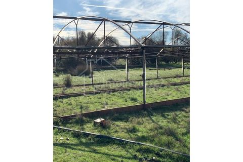 Farm i Ladoeiro, Castelo Branco, Ladoeiro - € 1.260.000 | Ref: FIN_136 - foto 19