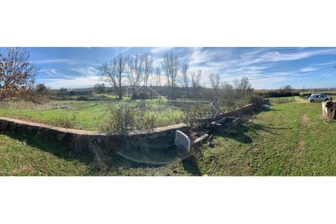 Farm i Ladoeiro, Castelo Branco, Ladoeiro - € 1.260.000 | Ref: FIN_136 - foto 20
