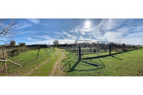 Farm i Ladoeiro, Castelo Branco, Ladoeiro - € 1.260.000 | Ref: FIN_136 - foto 21