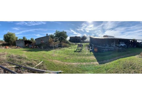 Farm i Ladoeiro, Castelo Branco, Ladoeiro - € 1.260.000 | Ref: FIN_136 - foto 22
