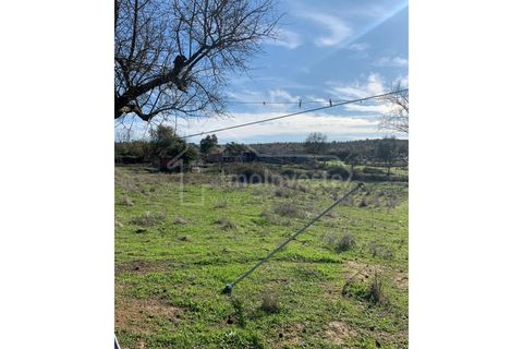 Farm i Ladoeiro, Castelo Branco, Ladoeiro - € 1.260.000 | Ref: FIN_136 - foto 23