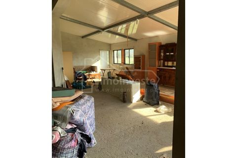 Farm i Ladoeiro, Castelo Branco, Ladoeiro - € 1.260.000 | Ref: FIN_136 - foto 24