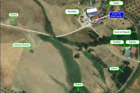 Farm i Ladoeiro, Castelo Branco, Ladoeiro - € 1.260.000 | Ref: FIN_136 - foto 30