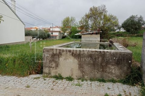 Terra a Ninho do Acor, Castelo Branco, Ninho do Acor - € 19.500 | Ref: SÒL_896 - foto 2