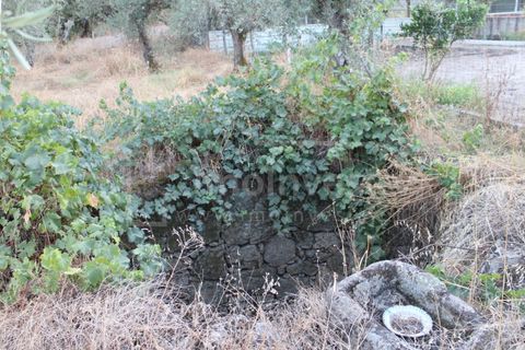 Helårsgrund i Castelo Branco, Castelo Branco, Castelo Branco - € 18.000 | Ref: SÒL_802 - foto 2