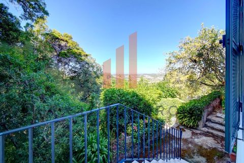 Villa i Sintra, Lisbon, Sintra - € 1.450.000 | Ref: 011202400205 - foto 13