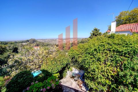 Villa i Sintra, Lisbon, Sintra - € 1.450.000 | Ref: 011202400205 - foto 16