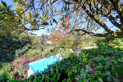 Villa i Sintra, Lisbon, Sintra - € 1.450.000 | Ref: 011202400205 - foto 17