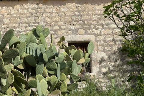 Landejendom i Modica, Ragusa, Modica - € 890.000 | Ref: L 1670 M - foto 28
