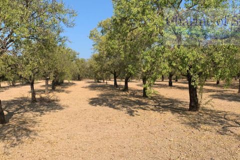 Landejendom i Noto, Siracusa, Noto - € 597.000 | Ref: SC 06 - foto 3