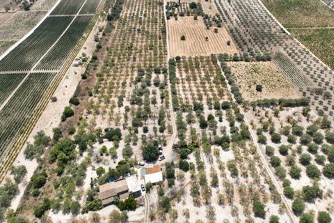 Landejendom i Noto, Siracusa, Noto - € 597.000 | Ref: SC 06 - foto 4