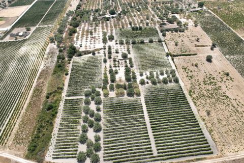 Landejendom i Noto, Siracusa, Noto - € 597.000 | Ref: SC 06 - foto 7