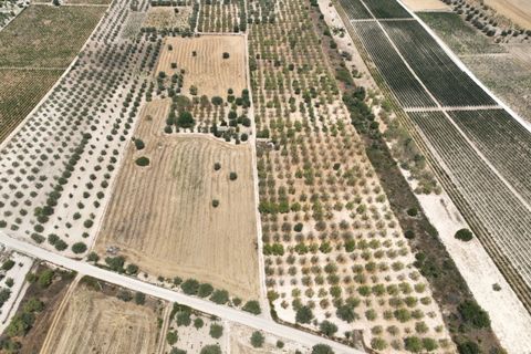 Landejendom i Noto, Siracusa, Noto - € 597.000 | Ref: SC 06 - foto 8