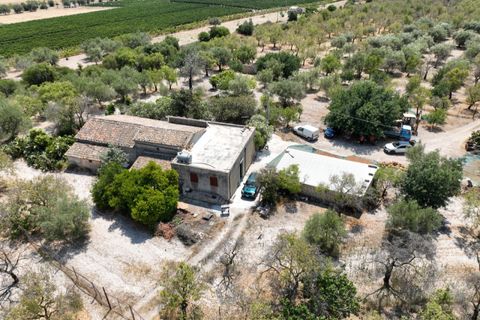 Landejendom i Noto, Siracusa, Noto - € 597.000 | Ref: SC 06 - foto 9