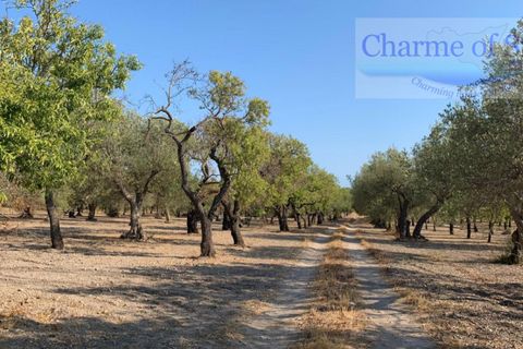 Landejendom i Noto, Siracusa, Noto - € 597.000 | Ref: SC 06 - foto 15