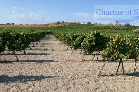 Landejendom i Noto, Siracusa, Noto - € 597.000 | Ref: SC 06 - foto 16