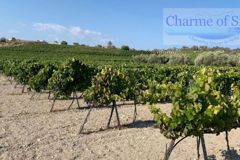 Landejendom i Noto, Siracusa, Noto - € 597.000 | Ref: SC 06 - foto 18