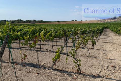 Landejendom i Noto, Siracusa, Noto - € 597.000 | Ref: SC 06 - foto 21