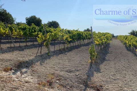 Landejendom i Noto, Siracusa, Noto - € 597.000 | Ref: SC 06 - foto 22