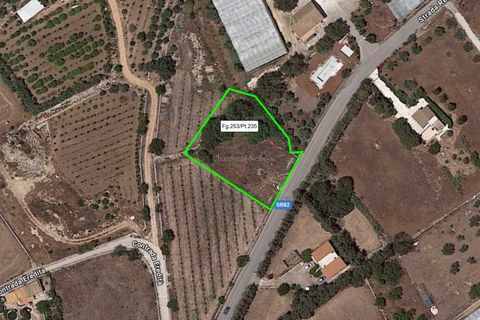 Helårsgrund i Ragusa, Ragusa, Ragusa - € 55.000 | Ref: Z 50 - foto 10
