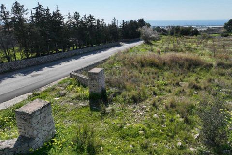 Helårsgrund i Ragusa, Ragusa, Ragusa - € 55.000 | Ref: Z 50 - foto 4